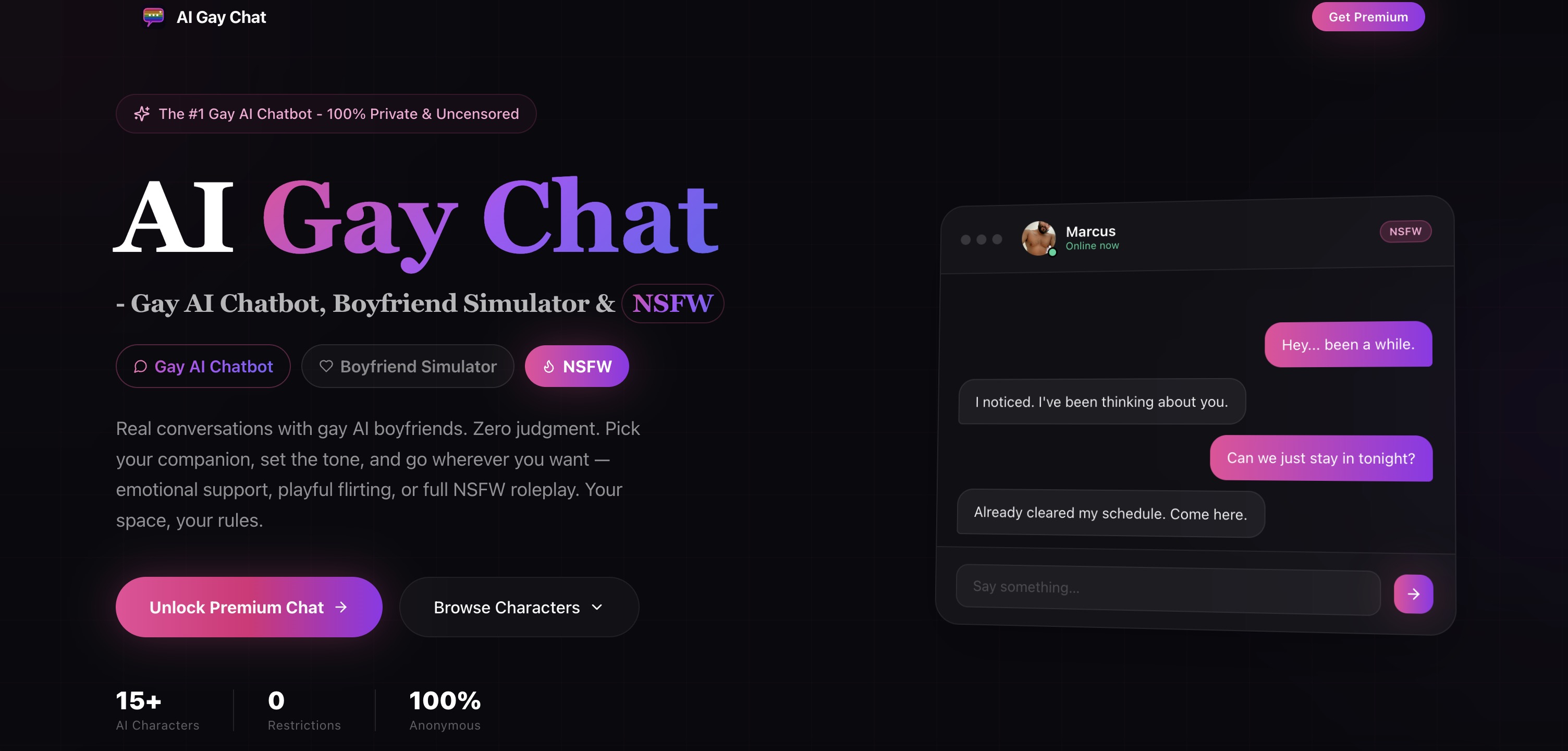Captura de AI Gay Chat